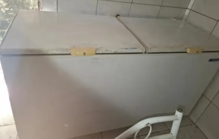 Freezer Metalfrio DA550, com capacidade de 550 litros e duas portas [8].