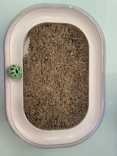 Brinquedos interativos para pet