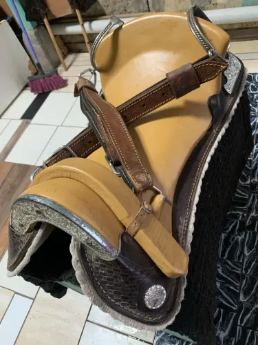 Sela freio de ouro chapeada