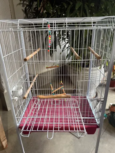 Gaiola para calopsita