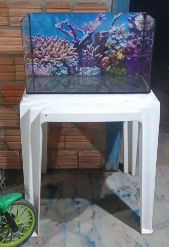 Aquário 