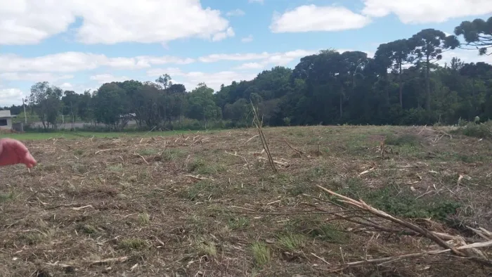 Terreno no costeira 