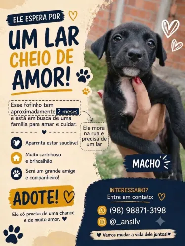 Adoção de cachorro