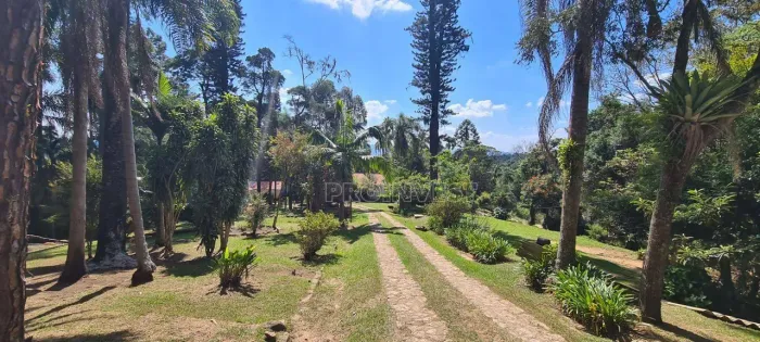 Sítio com 3 dormitórios à venda, 82384 m² por R$ 3.500.001,00 - Parque Rizzo - Cotia/SP
