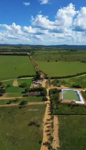 Fazenda 320 hectares (Documentada) toda no pasto e plana