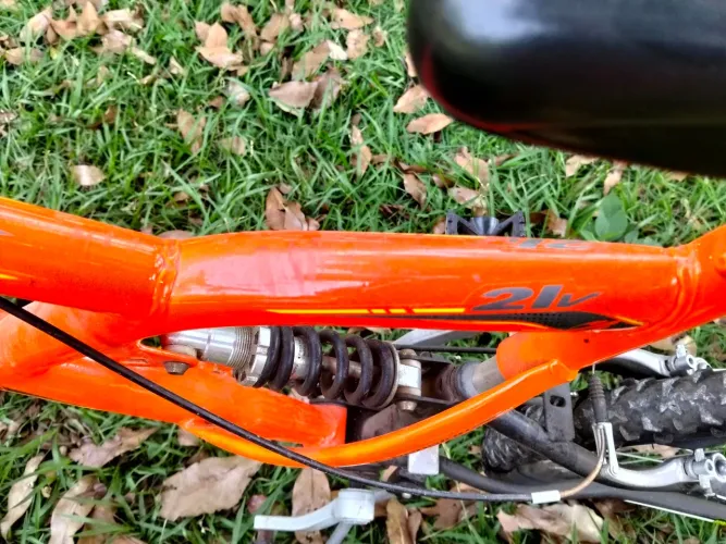 Bicicleta mormaii
