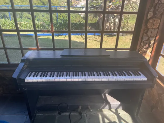Piano profissional