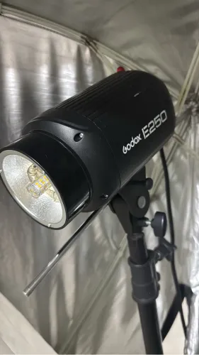 Flash Tocha Godox E250w