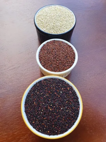 Quinoas (mix, preta, branca e vermelha)