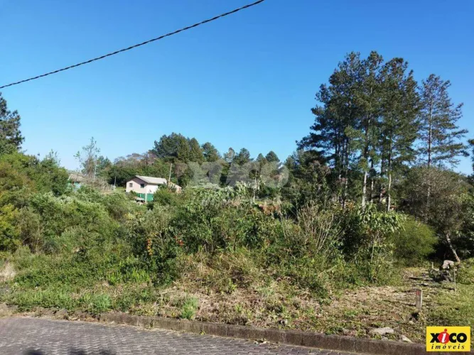 TERRENO PARA VENDA EM NOVA PETRÓPOLIS / RS NO BAIRRO LINHA IMPERIAL