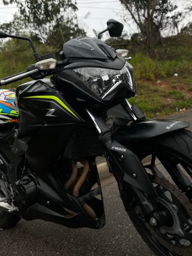 Z300 2019 preta