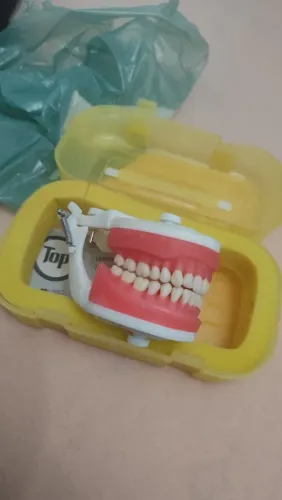 Manequim de dentistica
