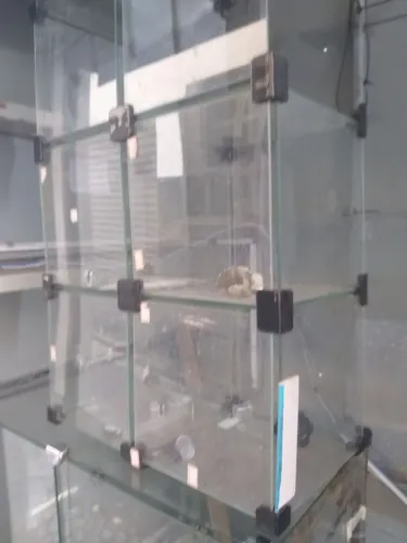 VITRINES 