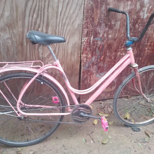Bicicleta brisa