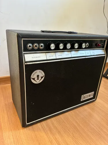 Amplificador guitarra 20w