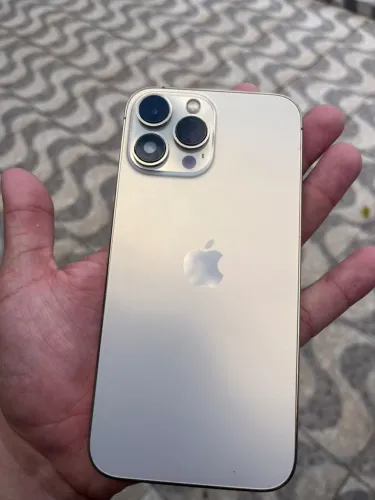 iPhone 13 Pro Max perfeito