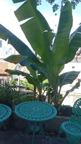 Quitinete com quintal e vista para a cidade