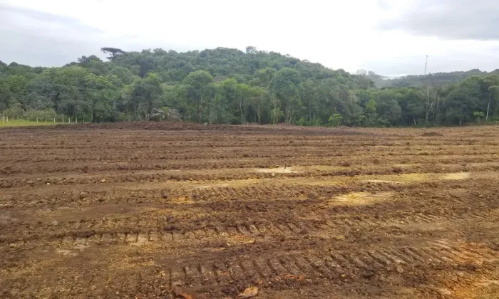 Ótima área para construção de barracão em Almirante Tamandaré, bairro Mato Dentro.