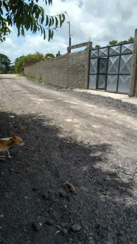 Imóvel para venda com 2500 metros quadrados em Comportas - Jaboatão dos Guararapes - PE