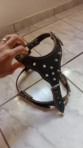 Vendo uma peitoral nova