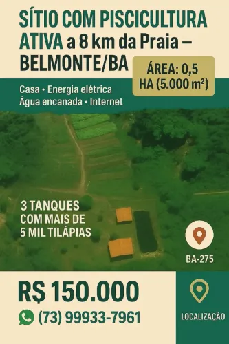 Sítio há 8km da praia do Rio preto/ CANTA GALO