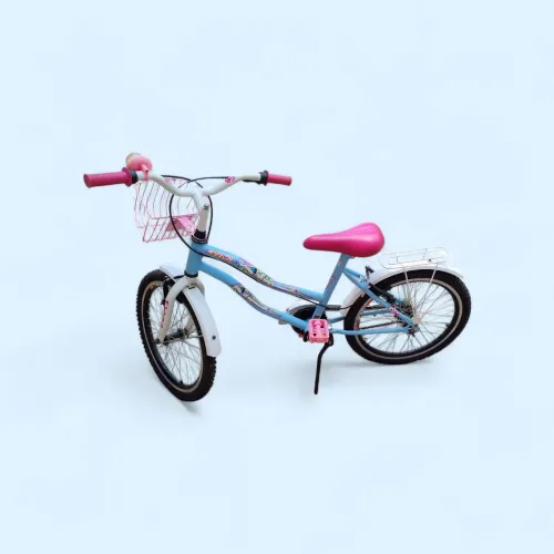 Bicicleta única dona