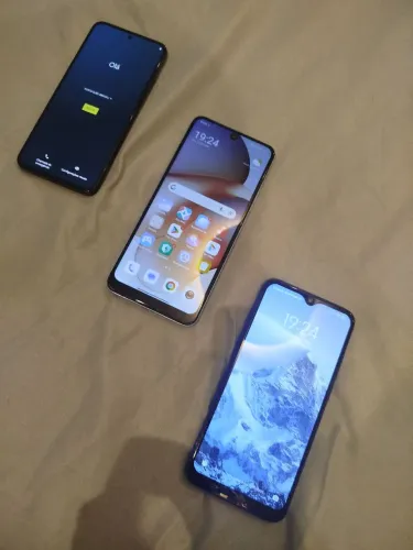 Celular