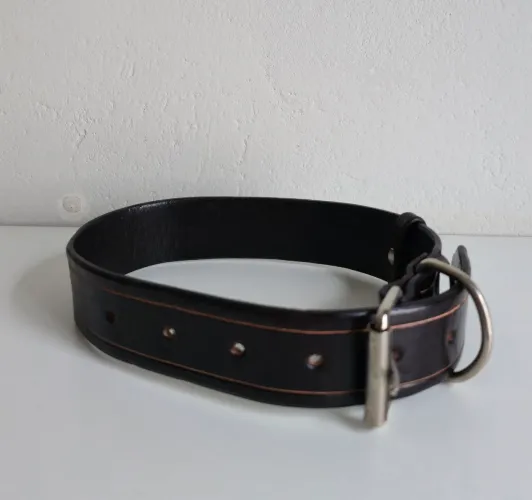 Coleira De Couro para cachorro Confort Couro Luxo + Resitencia