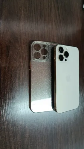 iPhone Pro Max 13