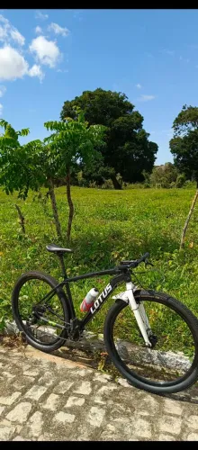 Bike lótus TM19