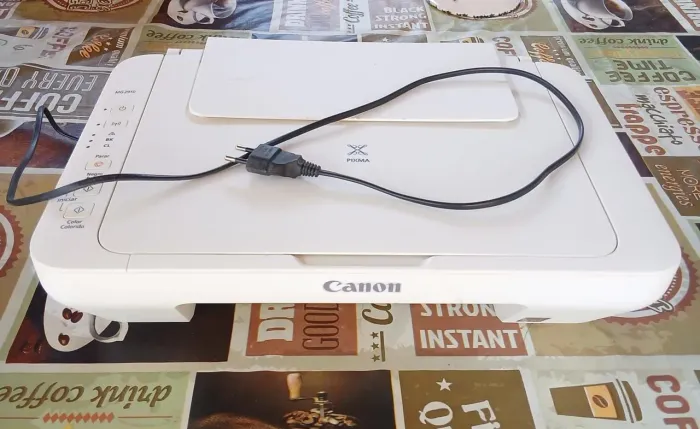 Impressora Canon Pixma MG2910
