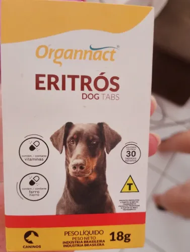 Remédio para cachorro