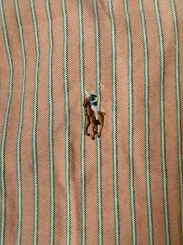 Camisa masculina Ralph Lauren M Original Nova