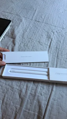 Apple Pencil USB-C Original, Apple (19 dias de uso)