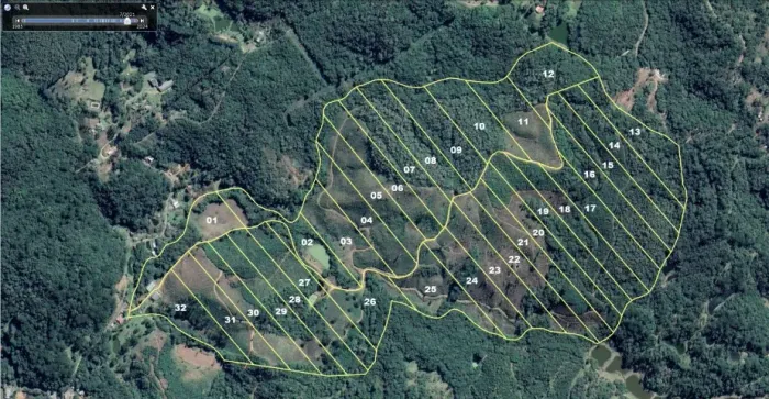 Pré-lançamento: Chácara de 20.000m² em Quatro Barras - R$ 230 Mil