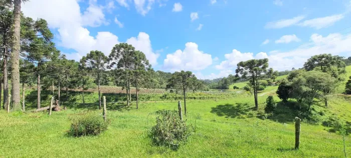 Sitio em Rio Rufino- Serra Catarinense-450.000,00 m²