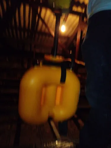 Dedetização Descupinização Desratização 