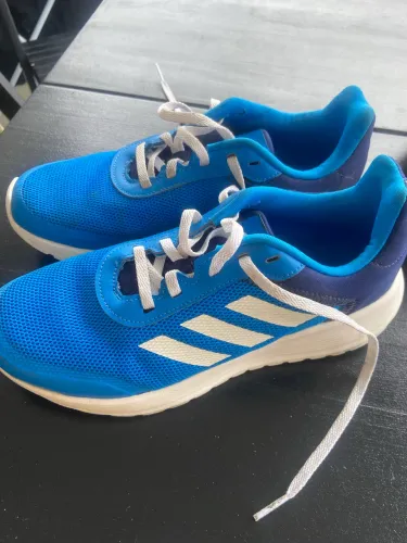 Tênis ADIDAS original