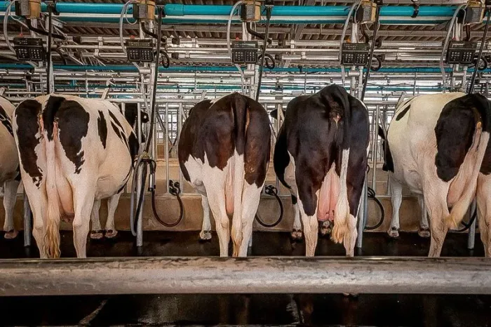 INVESTIMENTO P/ PRODUTOR 