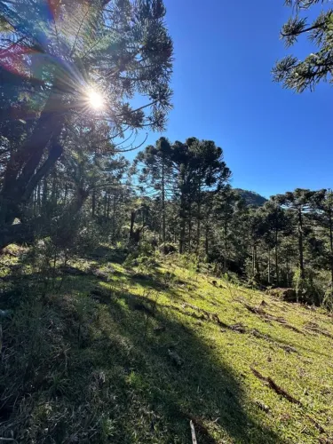 Terrenos, sítios e fazendas - Urubici, SC