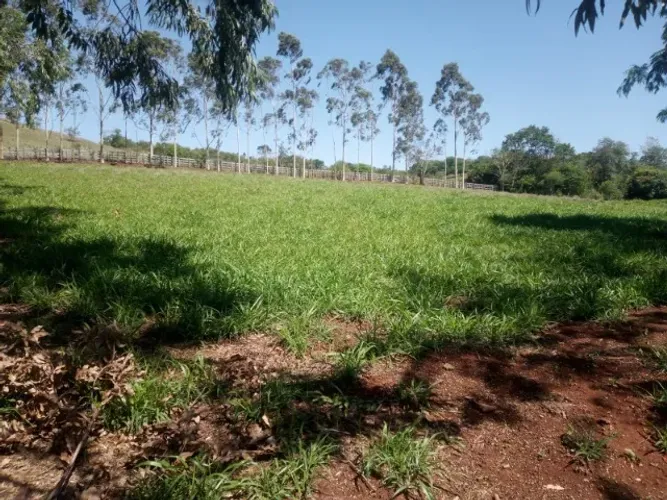 Excelente sítio de 12,31 alqueires em Urai, com casa, barracão, represa, pasto.