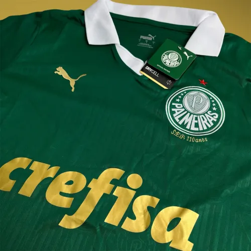 Camisa Palmeiras 24/25 (valor baixo pra sair)