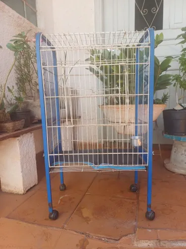 Gaiola calopsita maritaca etc OCASIÃO DESAPEGO APENAS $180,00 não entrego retirar 