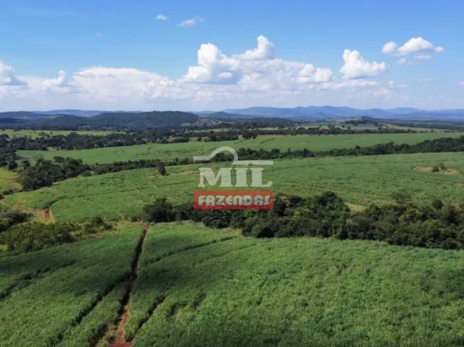 Fazenda 36,5 Alqueires (176,6 hectares) Ceres - GO
