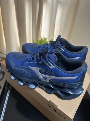 Mizuno prophecy 15
