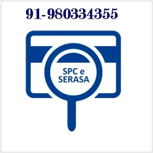 consulta no spc e serasa