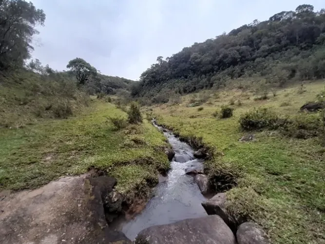 Área 15 hectares para Sítio, Pastagem, Córrego, Morro do Gato, São Pedro de Alcântara SC