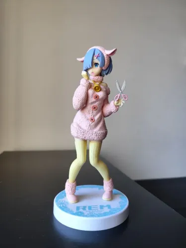 Figure Rem SSS