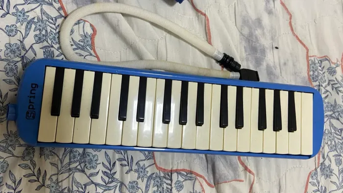 Escaleta