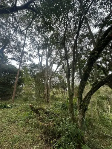 Terreno 500m² em Mairinque Próximo a Hospitais e Mercados